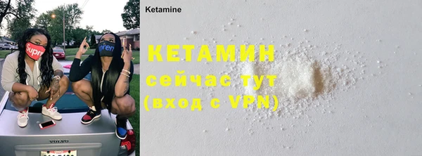 трава Аркадак