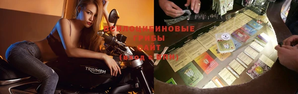 шишки Армянск
