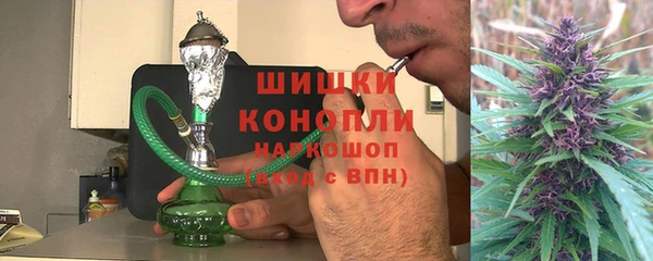 бошки Осинники