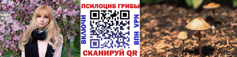 закладки  Лениногорск  blacksprut   Псилоцибиновые грибы Psilocybine cubensis 